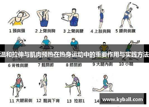 温和拉伸与肌肉预热在热身运动中的重要作用与实践方法